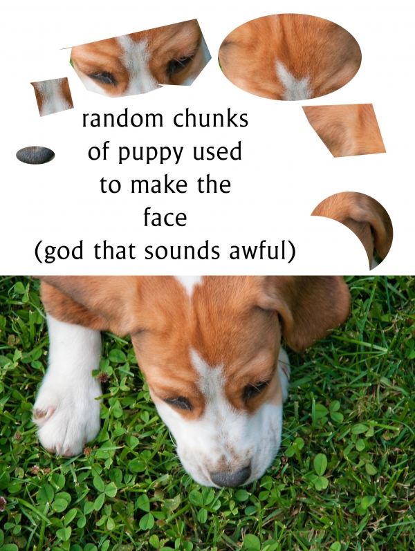 Creation of handsome pup (orientallad fix): Step 2
